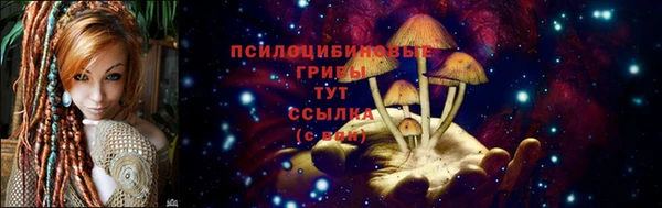 твердый Богородицк