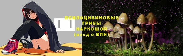 марки lsd Богданович