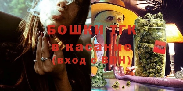 мдпв Пестово