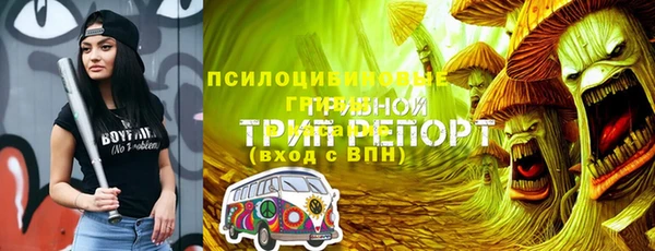 дживик Переславль-Залесский