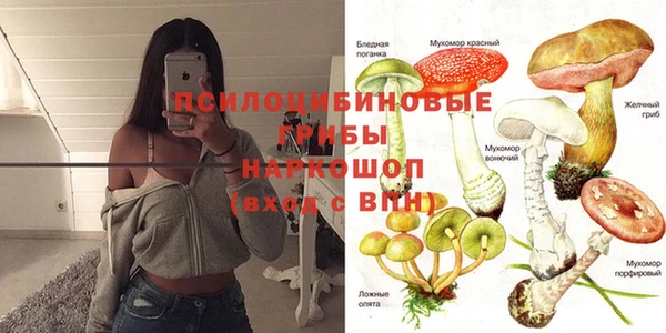 спиды Беломорск