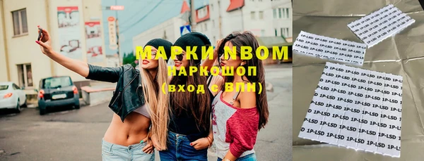 PSILOCYBIN Белокуриха