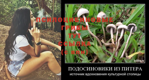марки lsd Богданович