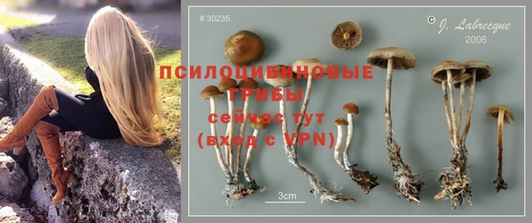 каннабис Богородск